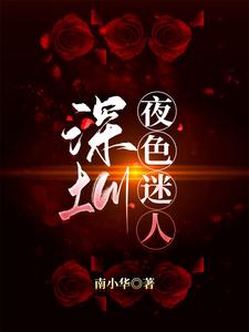 【资源】《深圳，夜色迷人》作者：南小华【完结】