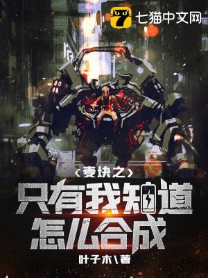 【资源】《麦块之只有我知道怎么合成》作者：叶子木【完结】
