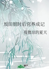 【资源】《（银魂同人）坂田银时后宫养成记》作者：夜微凉的夏天【完结+番外】