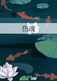 【资源】《伤魂》作者：思若何【完结】