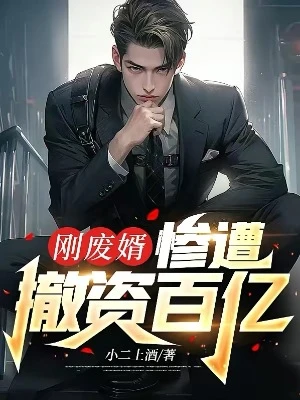 【资源】《刚废婿，惨遭撤资百亿》作者：小二上酒【完结】