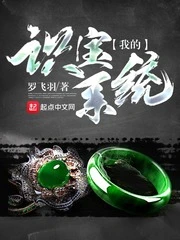 【资源】《我的识宝系统》作者：罗飞羽【完结】