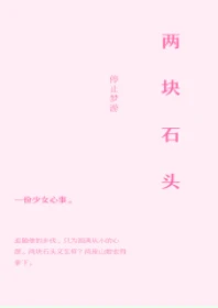 【资源】《两块石头》作者：停止梦游【完结+番外】