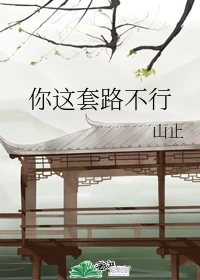 【资源】《你这套路不行》作者：山止【完结+番外】