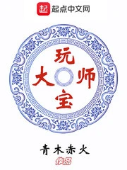 【资源】《玩宝大师》作者：青木赤火【完结】