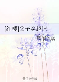 【资源】《（红楼同人）[红楼]父子穿越记》作者：风雨琉璃【完结+番外】