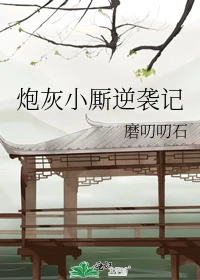【资源】《炮灰小厮逆袭记》作者：磨叨叨石【完结+番外】