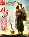 【资源】《妙手小神算》作者：崔逸少【完结】