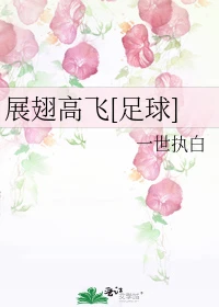 【资源】《（足球同人）展翅高飞[足球]》作者：一世执白【完结+番外】