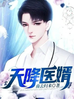 【资源】《天降医婿》作者：南去归来【完结】