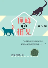 【资源】《顶峰相见[娱乐圈]》作者：奶茶偏苦【完结】