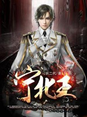 【资源】《宁北王》作者：妖二代【完结】