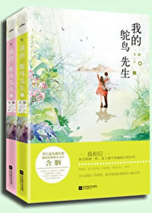 《我的鸵鸟先生》作者：含胭【完结+番外】
