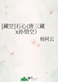 【资源】《（西游同人）[藏空]石心(唐三藏x孙悟空）》作者：杨阿云【完结】
