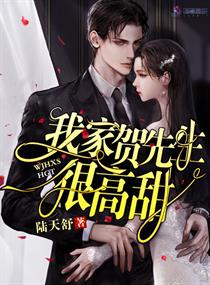 【资源】《我家贺先生很高甜》作者：陆天舒【完结】