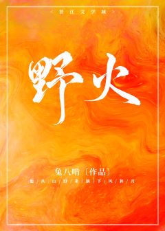 【资源】《野火》作者：兔八啃/贰两风月/十七场风【完结+番外】