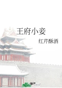 【资源】《王府小妾》作者：红芹酥酒【完结+番外】