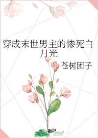 【资源】《穿成末世男主的惨死白月光》作者：苍树团子【完结】