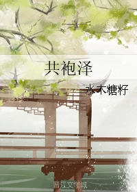 【资源】《共袍泽》作者：水木糖籽【完结+番外】