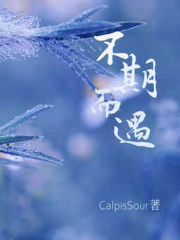 【资源】《不期而遇》作者：CalpisSour【CP完结+番外】