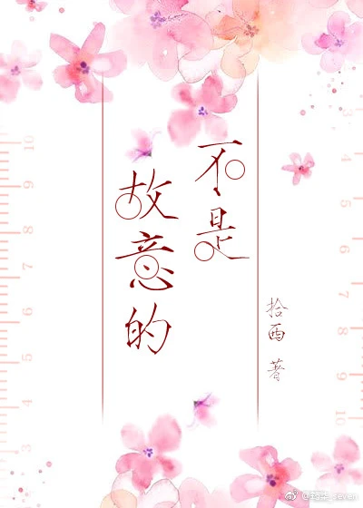 【资源】《不是故意的》作者：拾西【完结】