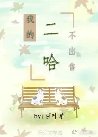 【资源】《我的二哈不出售》作者：百叶草【完结】