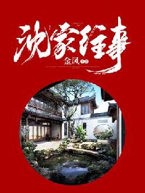 【资源】《沈家往事》作者：金凤【完结】