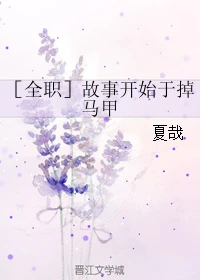 【资源】《（全职同人）[全职]故事开始于掉马甲》作者：夏哉【完结+番外】