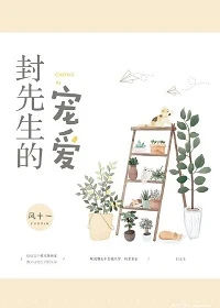 【资源】《封先生的宠爱》作者：风十一【完结+番外】