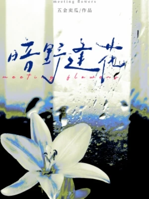 【资源】《暗野逢花》作者：五金卖瓜【CP完结】