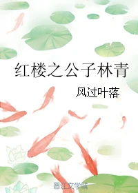 【资源】《（红楼同人）红楼之林大少爷》作者：风过叶落【完结】