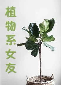 【资源】《（综英美同人）[综英美]植物系女友》作者：生姜可乐【完结+番外】