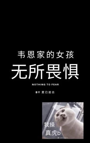 【资源】《（综英美同人）[综英美]韦恩家的女孩无所畏惧》作者：夏已逝去【完结+番外】