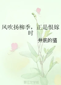 【资源】《风吹扬柳季，正是恨嫁时》作者：井底的猫【完结+番外】
