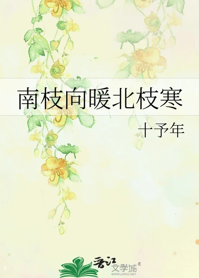 【资源】《南枝向暖北枝寒》作者:四时安年【完结】
