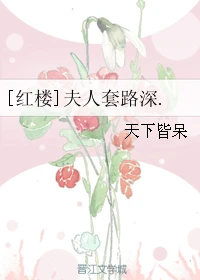 【资源】《（红楼同人）[红楼]夫人套路深.》作者：天下皆呆【完结+番外】