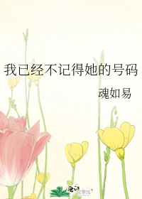【资源】《我已经不记得她的号码》作者：魂如易【完结+番外】