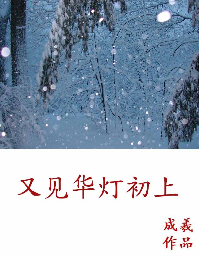 【资源】《又见华灯初上》作者：成羲【完结】
