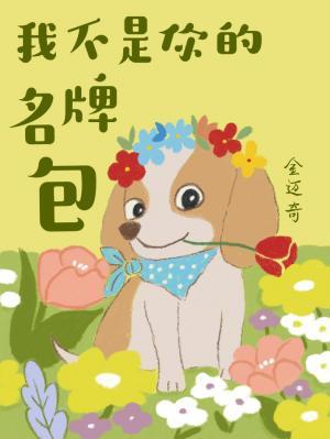 【资源】《我不是你的名牌包》作者：金迈奇【CP完结】