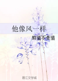 【资源】《他像风一样》作者：熊猫不是猫【完结】