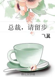 【资源】《总裁，请留步》作者：飞翼【完结】