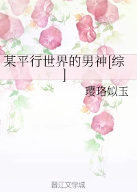 【资源】《（综同人）某平行世界的男神[综]》作者：璎珞姒玉【完结+番外】