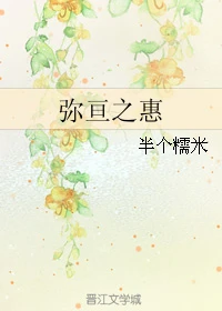 【资源】《（火影同人）弥亘之惠》作者：半个糯米【完结】