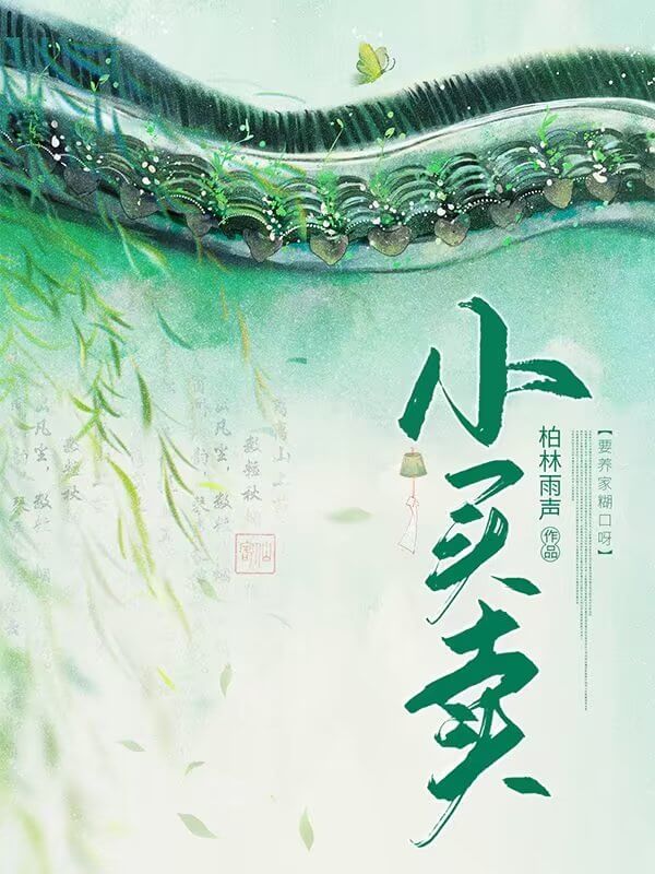 【资源】《小买卖》作者：柏林雨声【完结】