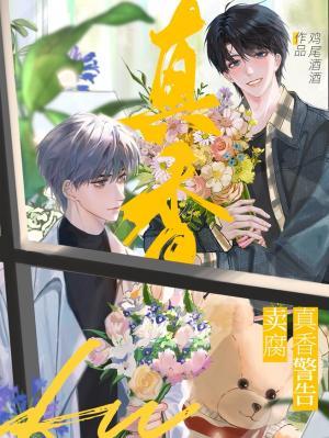 【资源】《卖腐真香警告》作者：鸡尾酒酒【CP完结】
