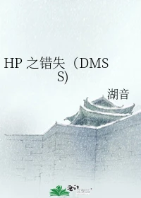 【资源】《（HP同人）HP之错失（DMSS)》作者：湖音【完结】