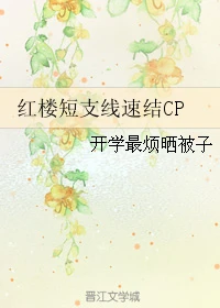【资源】《（红楼同人）红楼短支线速结CP》作者：开学最烦晒被子