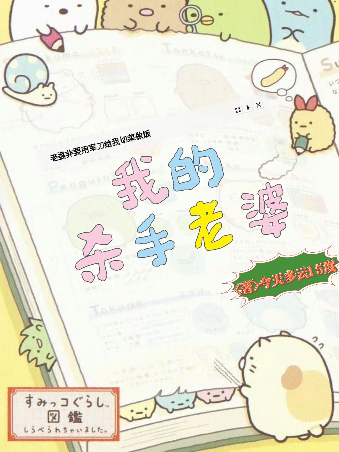 【资源】《我的杀手老婆》作者：今天多云15度【CP完结】