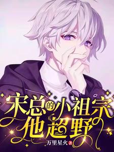 【资源】《宋总的小祖宗他超野》作者：万里星火【完结+番外】