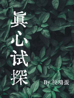 【资源】《真心试探》作者：梗鸡蛋【CP完结】